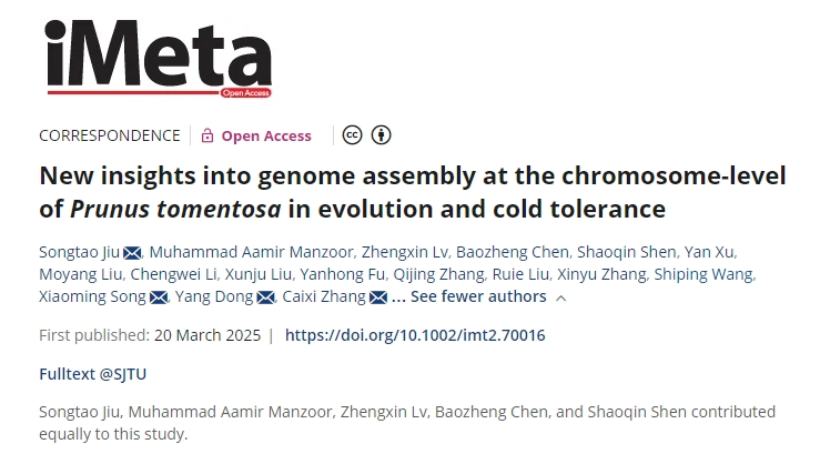地区议会拥抱移动应用程序